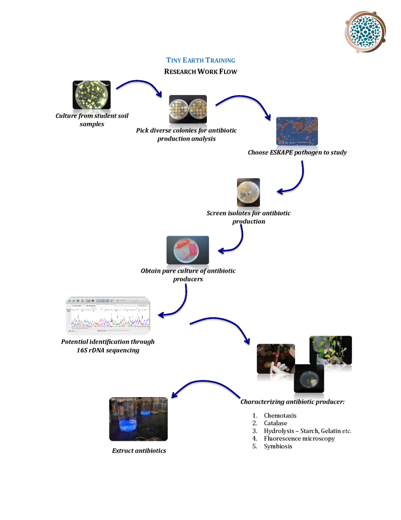Research Flow